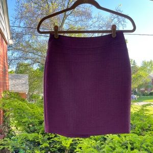 NWOT!Gorgeous The Limited Skirt!